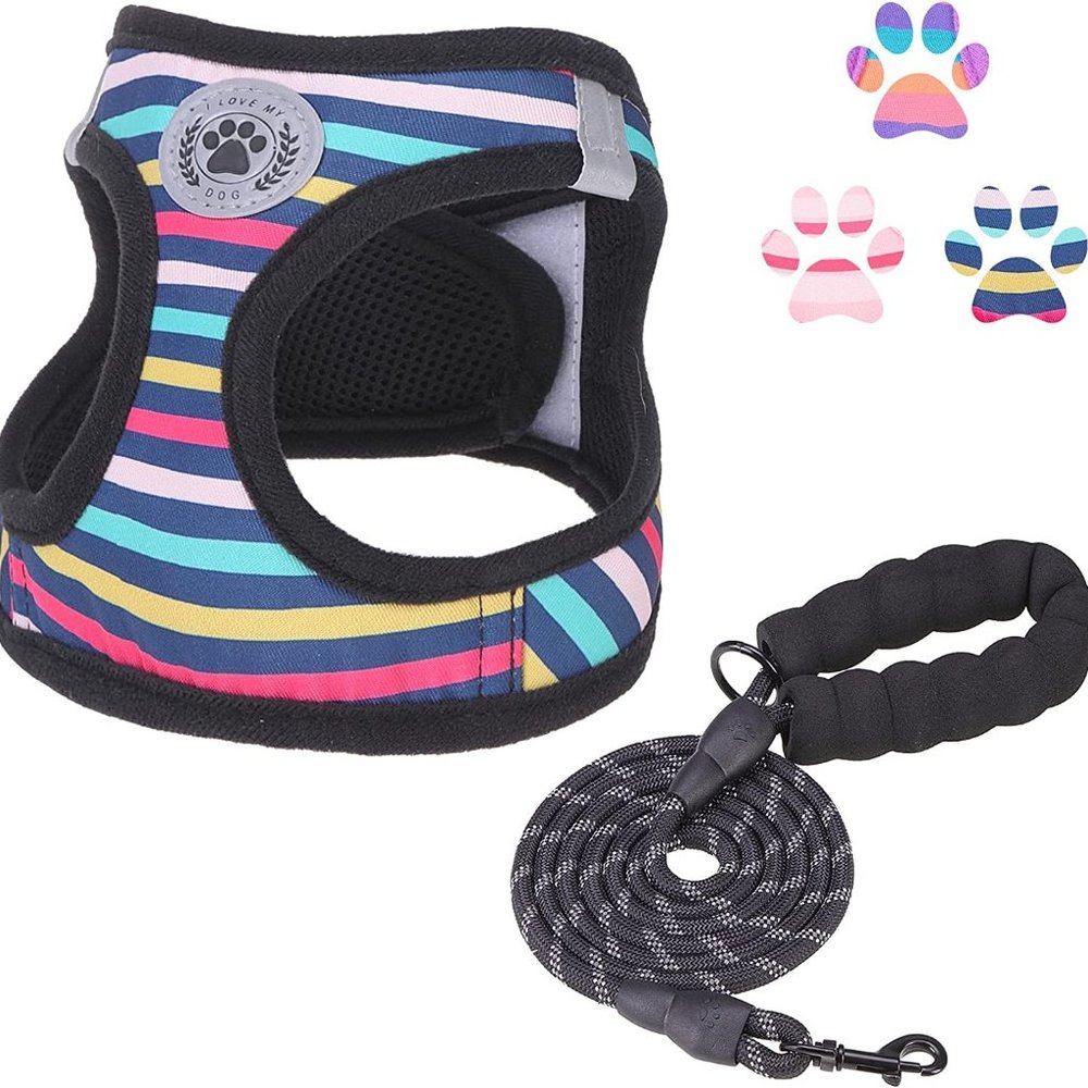 Small Dog Harness and Leash Set, Step-in Breathable Reflective Puppy Cat Dog